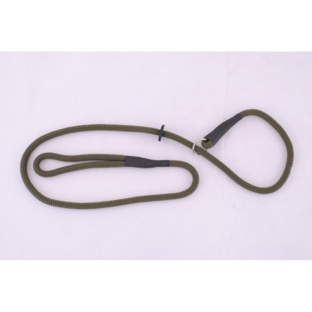 Laisse collier 1m
